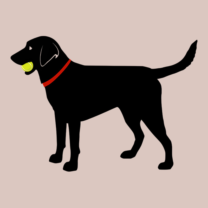 Labrador Retriever Fetch, Black Lab Play Ball Premium Hoodie by longCreatives | Teevron