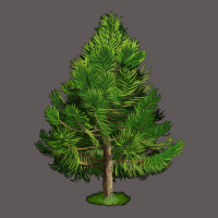 White Pine Tree Illustrations Premium Hoodie | Teevron