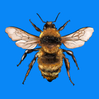Bee Zipper Hoodie | Teevron