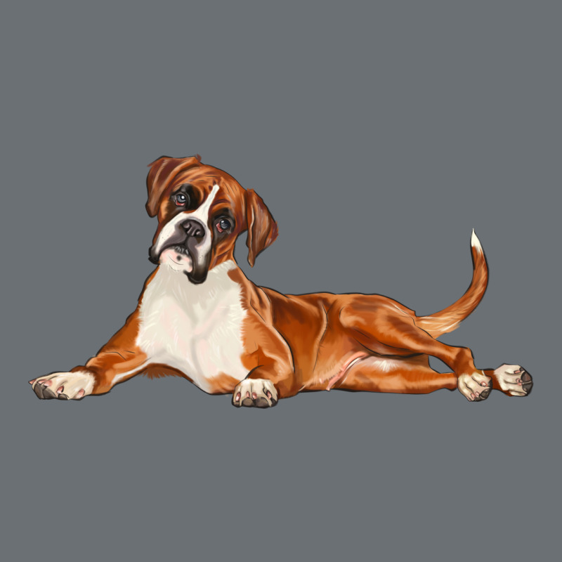 Boxer Dog Illustrations Premium Hoodie by LillyAllenDesigns | Teevron