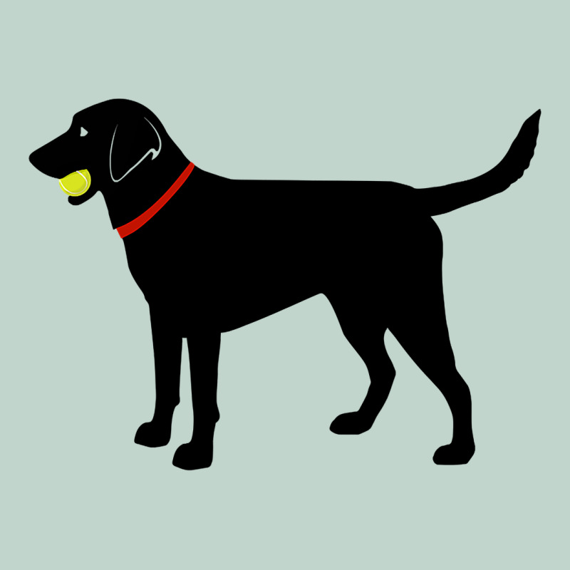Labrador Retriever Fetch, Black Lab Play Ball Zipper Hoodie by longCreatives | Teevron