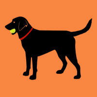 Labrador Retriever Fetch, Black Lab Play Ball Premium Sweatshirt | Teevron