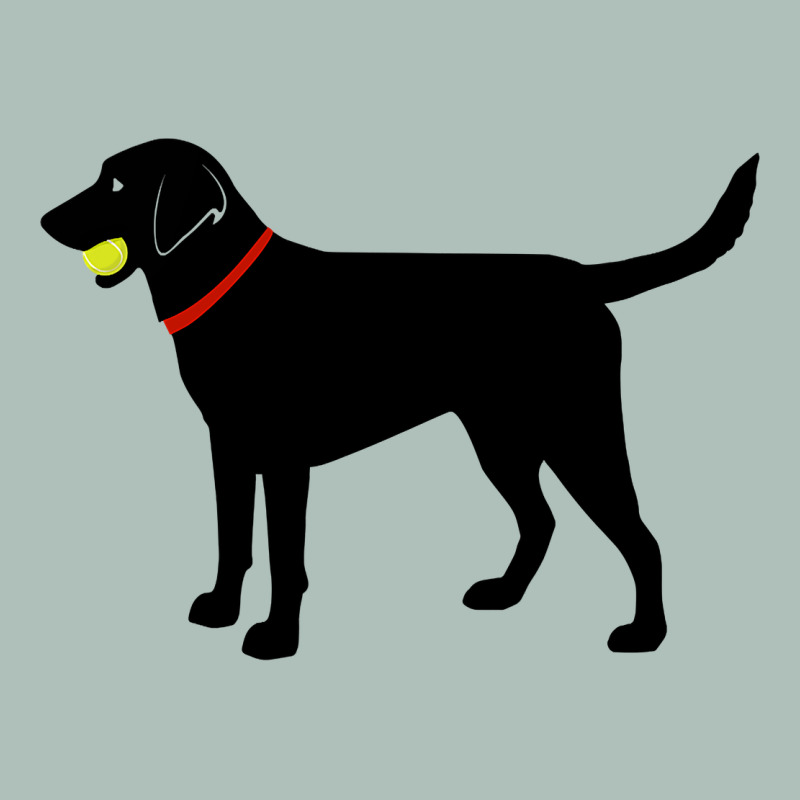 Labrador Retriever Fetch, Black Lab Play Ball Heavyweight Hoodie by longCreatives | Teevron