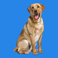 Labrador Retriever Llustrations Premium Hoodie | Teevron