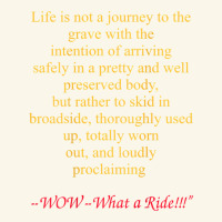 Life Is Not A Journey To The Grave With The Intention Premium Hoodie | Teevron