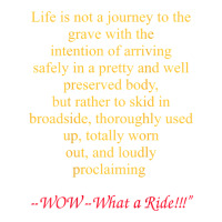 Life Is Not A Journey To The Grave With The Intention | Teevron