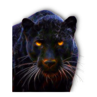 Black Panther, Big Cat T | Teevron