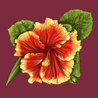 Hawaiian Hibiscus Flower Illustrations Premium Hoodie | Teevron