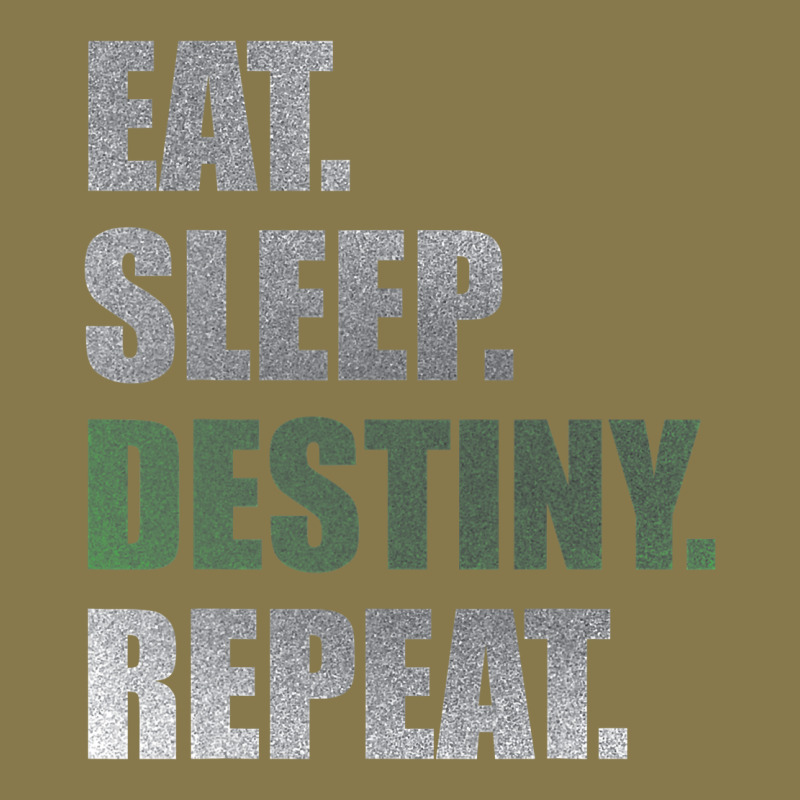 Destiny  Eat Sleep Destiny Repeat Short Sleeve Premium Hoodie by longCreatives | Teevron