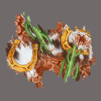 Horseshoe Cowhide Cactus Patch Urban Hoodie | Teevron
