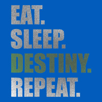 Destiny  Eat Sleep Destiny Repeat Short Sleeve Urban Hoodie | Teevron