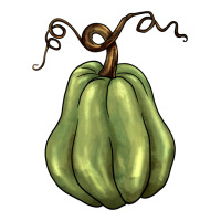 gourd green pumpkin | Teevron