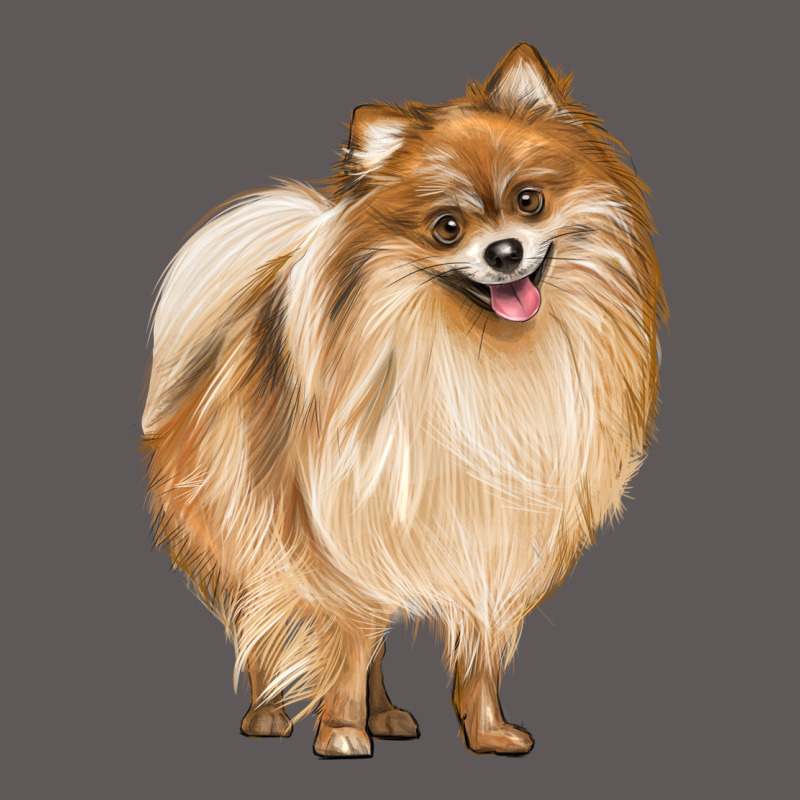 Pomeranian Dog Illustrations Premium Hoodie by LillyAllenDesigns | Teevron