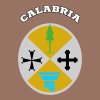 Calabria Coat Of Arms  Flag Souvenir Italy Premium Hoodie | Teevron