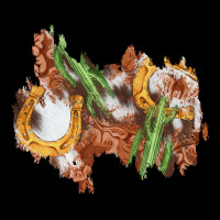 Horseshoe Cowhide Cactus Patch Urban Hoodie | Teevron