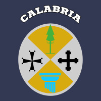 Calabria Coat Of Arms  Flag Souvenir Italy Heavyweight Hoodie | Teevron