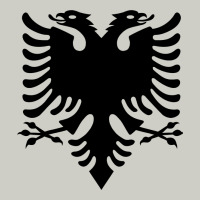 Albanian Flag Eagle Double Red Albania Shqipe Kosovo Heavyweight Hoodie | Teevron