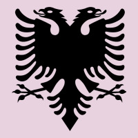 Albanian Flag Eagle Double Red Albania Shqipe Kosovo Classic Tee | Teevron