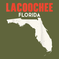 Lacoochee Florida Usa State America Travel Floridian T Shirt Classic Tee | Teevron