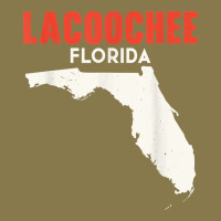 Lacoochee Florida Usa State America Travel Floridian T Shirt Premium Hoodie | Teevron