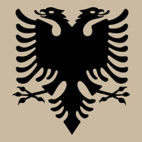 Albanian Flag Eagle Double Red Albania Shqipe Kosovo Long Sleeve Tee | Teevron