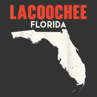 lacoochee florida usa state america travel floridian t shirt | Teevron