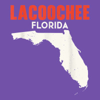 Lacoochee Florida Usa State America Travel Floridian T Shirt Premium Sweatshirt | Teevron