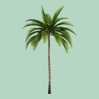 Tropical Palm Tree Classic Tee | Teevron