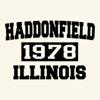 Haddonfield Illinois Halloween 1978 Halloween Spooky Scary Gift Premium Hoodie | Teevron