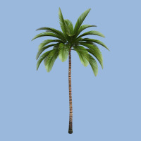 Tropical Palm Tree Premium Hoodie | Teevron