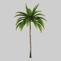 Tropical Palm Tree Premium Tee | Teevron