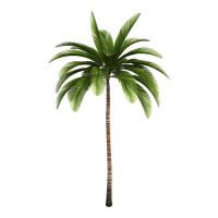 Tropical Palm Tree | Teevron