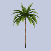 Tropical Palm Tree Long Sleeve Tee | Teevron