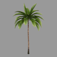 Tropical Palm Tree Vintage Hoodie | Teevron