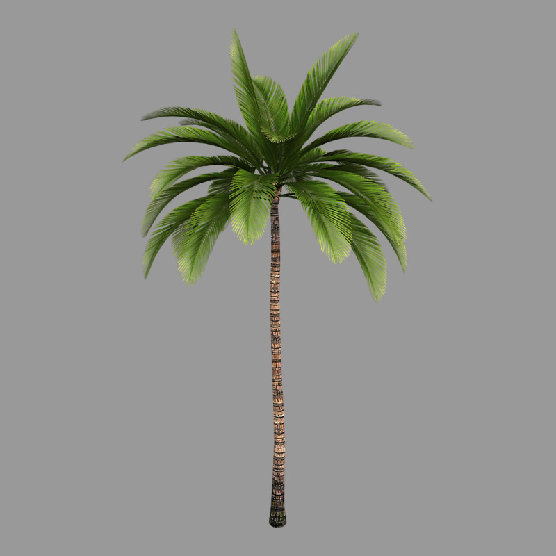 Tropical Palm Tree Vintage Hoodie by longCreatives | Teevron