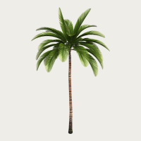 Tropical Palm Tree Zipper Hoodie | Teevron