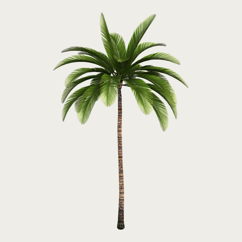 Tropical Palm Tree Zipper Hoodie by longCreatives | Teevron