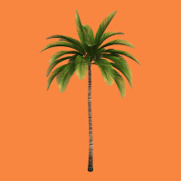 Tropical Palm Tree Premium Sweatshirt | Teevron