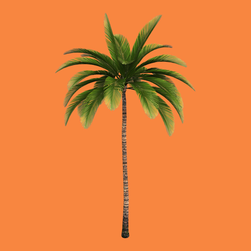 Tropical Palm Tree Premium Sweatshirt by longCreatives | Teevron