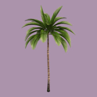 Tropical Palm Tree Heavyweight Hoodie | Teevron