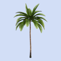 Tropical Palm Tree Urban Hoodie | Teevron