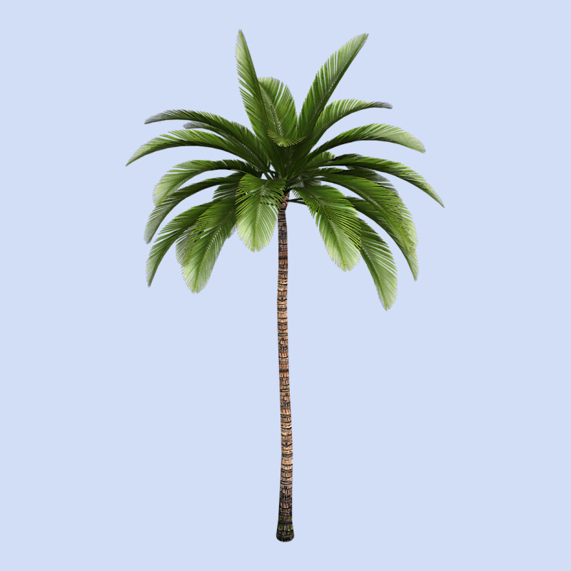 Tropical Palm Tree Urban Hoodie by longCreatives | Teevron