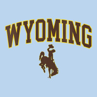 Womens Wyoming Cowboys Apparel Fan Favorite Arch Classic Tee | Teevron