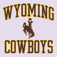 Wyoming Cowboys Men's Apparel Gameday Arch Over Cowboys Sweat Premium Hoodie | Teevron