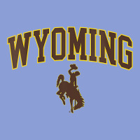 Womens Wyoming Cowboys Apparel Fan Favorite Arch Long Sleeve Tee | Teevron
