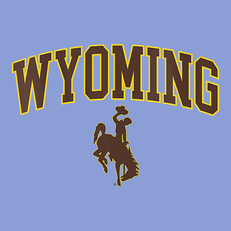 Womens Wyoming Cowboys Apparel Fan Favorite Arch Long Sleeve Tee by longCreatives | Teevron