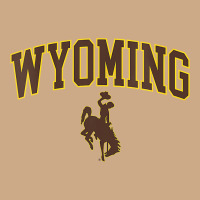 Womens Wyoming Cowboys Apparel Fan Favorite Arch Vintage Hoodie | Teevron