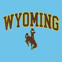 Womens Wyoming Cowboys Apparel Fan Favorite Arch Premium Sweatshirt | Teevron