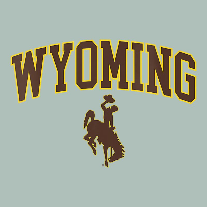 Womens Wyoming Cowboys Apparel Fan Favorite Arch Heavyweight Hoodie by longCreatives | Teevron