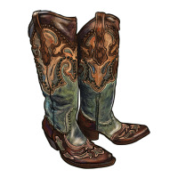 cowgirl boots | Teevron